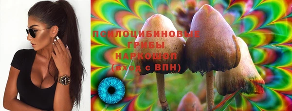 бутират Бородино