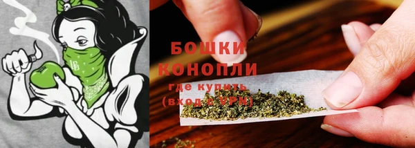 бутират Бородино