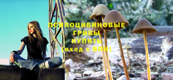 меф Осинники