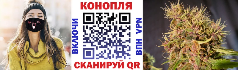 MEGA ссылки  Горно-Алтайск  площадка какой сайт  Шишки марихуана Amnesia 